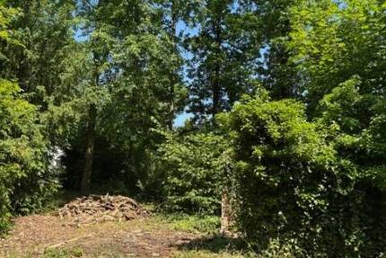 Grundstück Machern - 185.000&euro; | Angebot:22104299