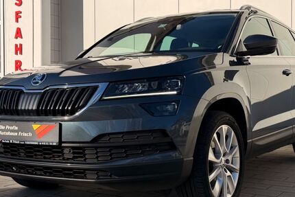 Skoda Karoq 91.000 km 21.690 &euro; Forstinning bei München 85661