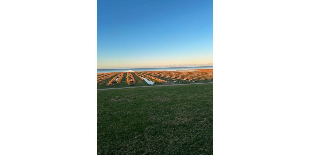 Einfamilienhaus Klanxbüll - 5 Zimmer, 135 m&sup2;, 649.000&euro; | Angebot:25841283