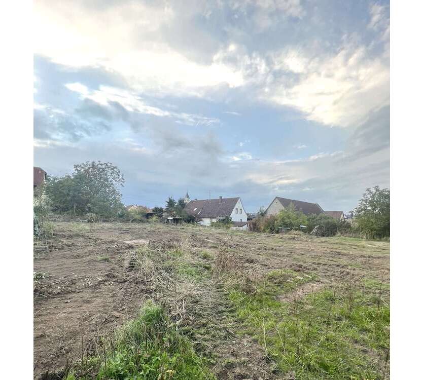 Haus zum Kaufen in Zornheim 560.400 € 110 m²