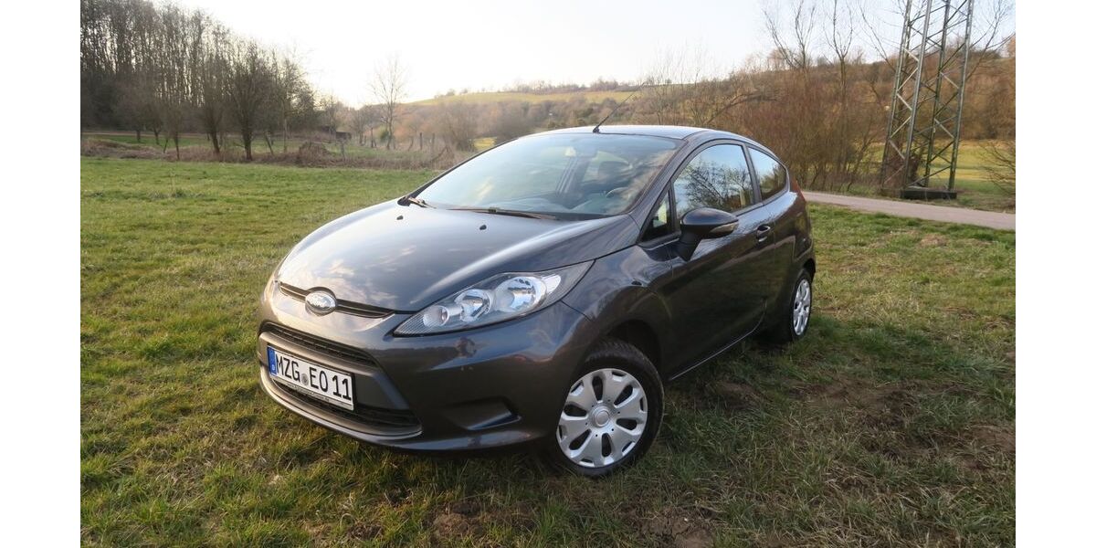 Ford Fiesta 190.000 km 2.500 &euro; Losheim am See 66679