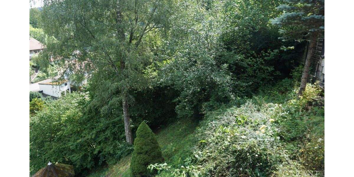 Grundstück Alpirsbach - 45.000&euro; | Angebot:25746416