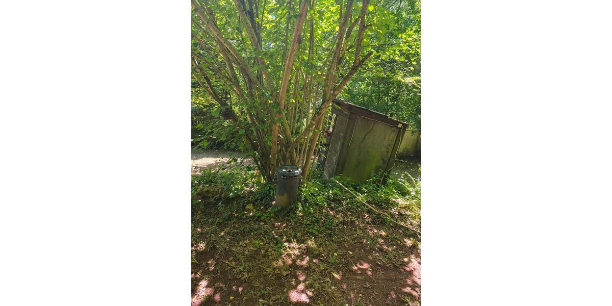 Einfamilienhaus Pirmasens Niedersimten - 1 Zimmer, 30 m&sup2;, 22.000&euro; | Angebot:26824405