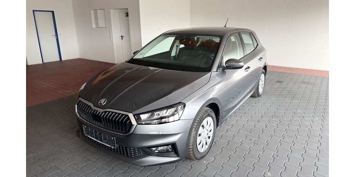 Skoda Fabia 53.100 km 16.541 &euro; Regensburg 93057