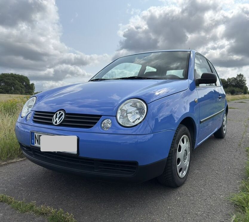 Lupo