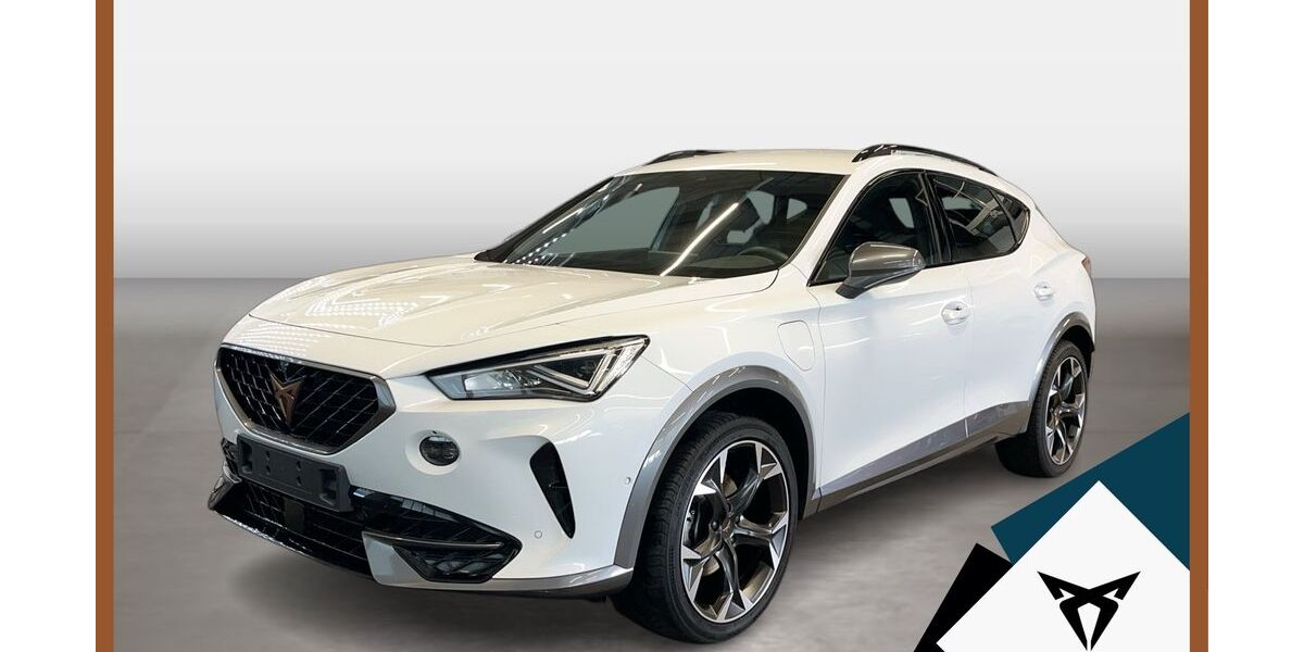 Cupra Formentor 71.454 km 25.170 &euro; Landshut 84030