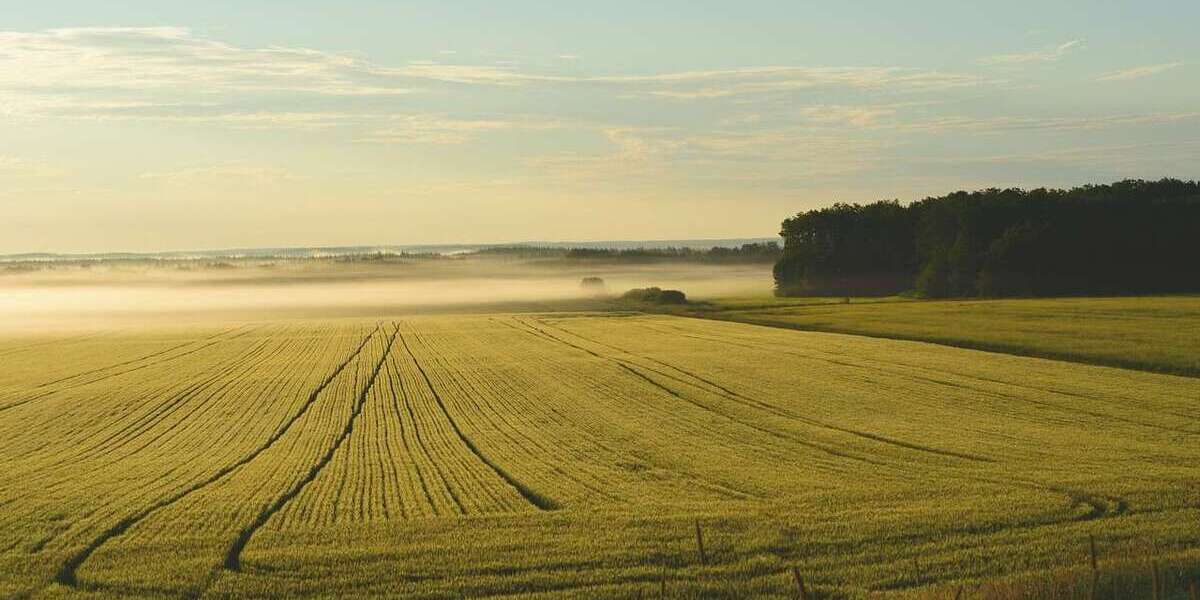 Grundstück in Visbek 219.000 € 13738 m² zimmer