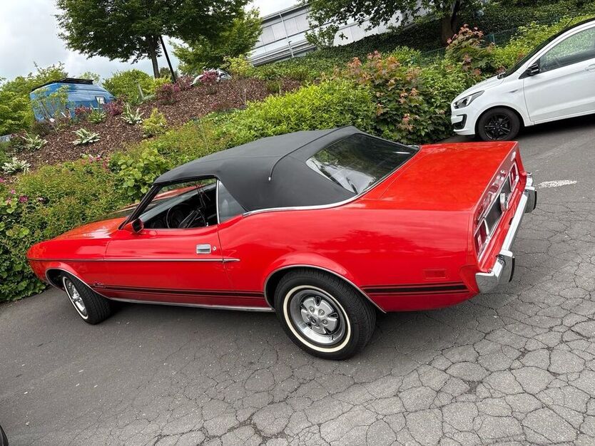 Mustang