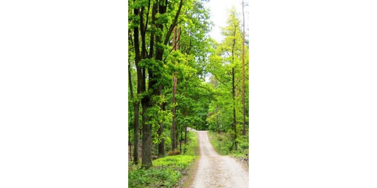 Grundstück Berlin Neukölln - 3&euro; | Angebot:25419843