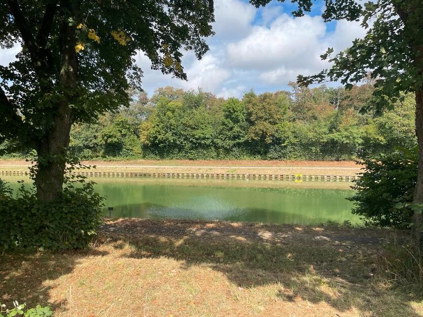 Freistehendes EFH in toller Lage (direkt am Wasser)
