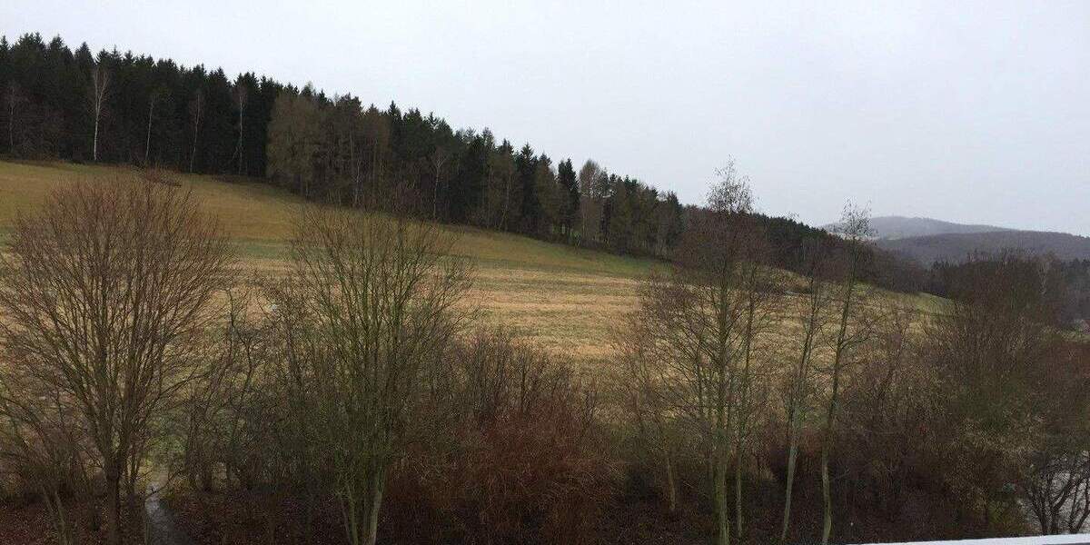 3-Raum-Wohnung mit Balkon und Einbauküche in Lößnitz 3 zimmer