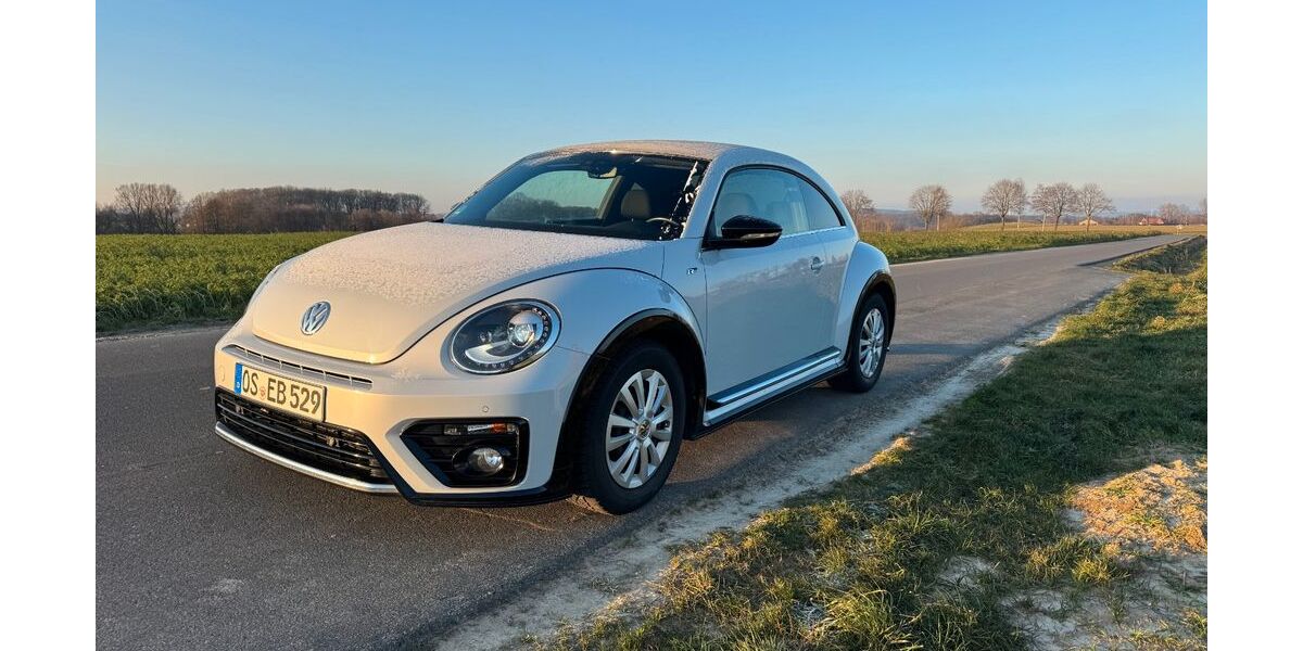 VW Beetle 99.969 km 25.400 &euro; Melle 49326