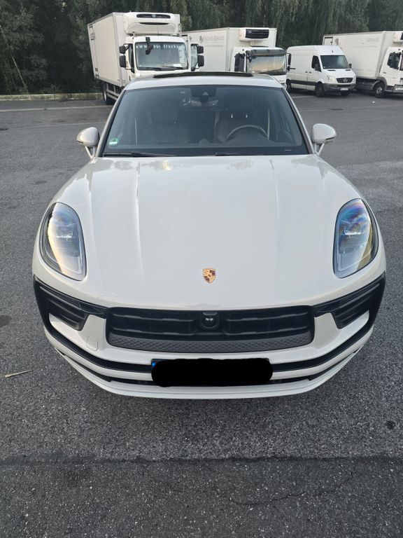 Macan