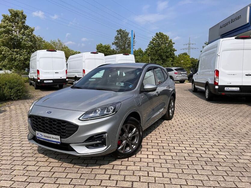 Kuga