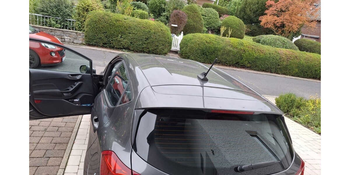 Ford Fiesta 7.900 km 13.500 € Winningen 56333