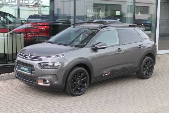 C4 Cactus
