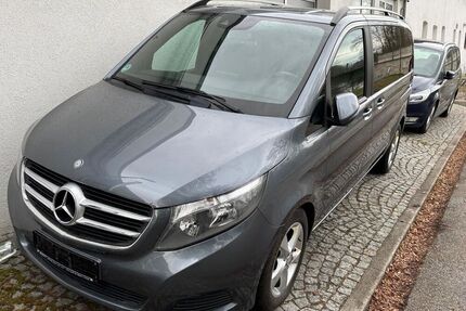 Mercedes Viano