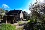 Großes Projektgrundstück ca. 2.195 m² mit Altbestand – Petershagen - Grundstück Petershagen-Eggersdorf Eggersdorf | Angebot:24946487
