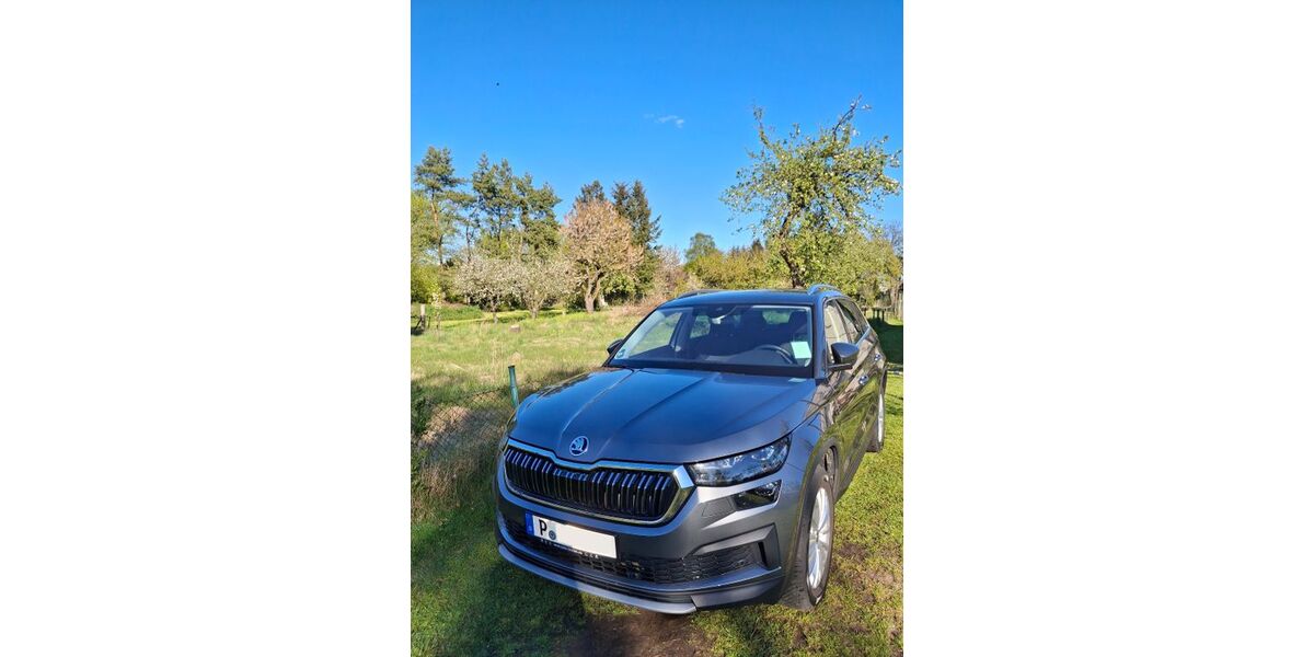 Skoda Kodiaq 42.500 km 38.600 &euro; Potsdam 14469
