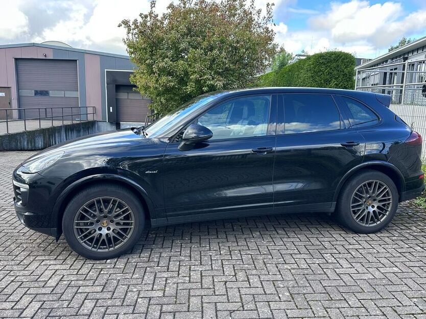 Cayenne