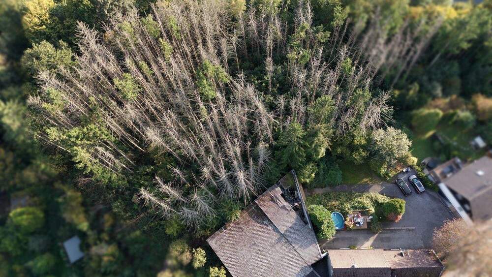 Grundstück Wuppertal Cronenberg - 399.000&euro; | Angebot:24037098