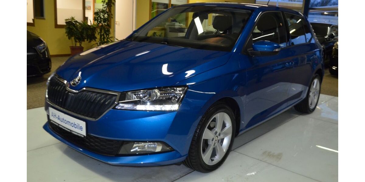 Skoda Fabia 40.000 km 14.880 &euro; Bad Doberan 18209