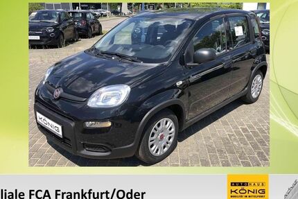 Fiat Panda 2.100 km 14.689 € Frankfurt/Oder 15234