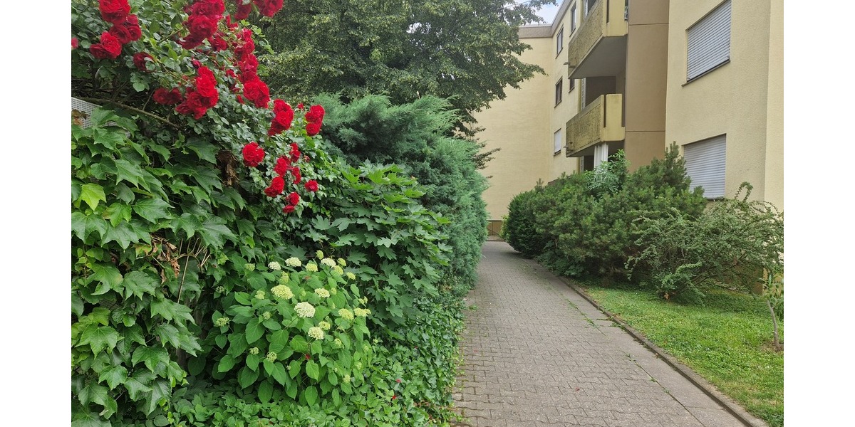 Gepflegte 3-Zimmer-Eigentumswohnung in attraktiver Wohnlage von Weinheim - 3- Weinheim | Angebot:27022818