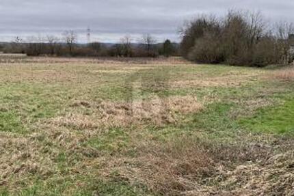 DER TRAUM VOM EIGENHEIM VERWIRKLICHEN - Grundstück Durmersheim | Angebot:25893331