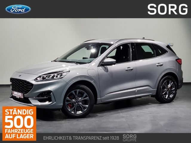 Kuga