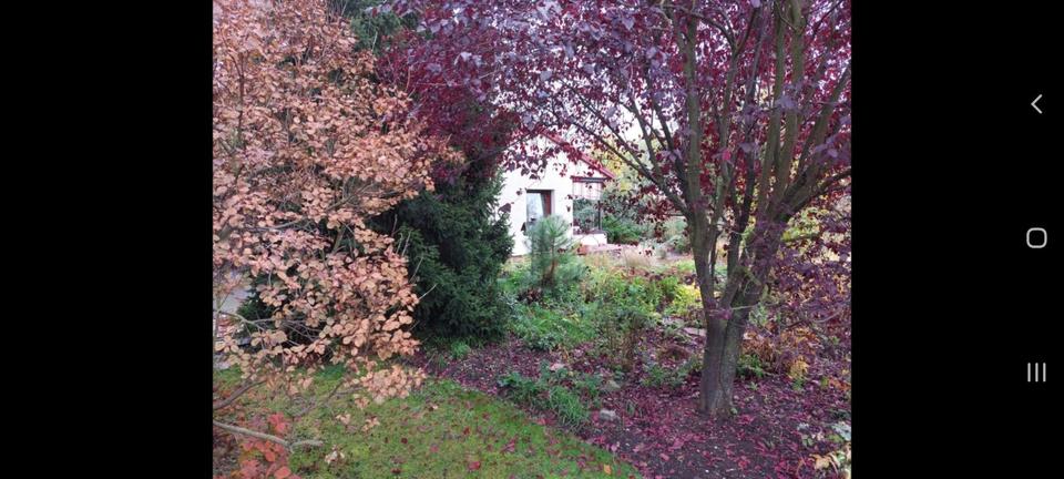 Kleines Häuschen im Grünen 2 zimmer