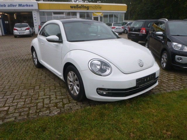 Beetle