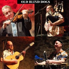 Old Blind Dogs 11.04.2027 Alte Molkerei Freren