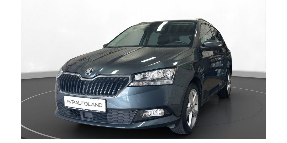 Skoda Fabia 79.479 km 12.600 &euro; Dingolfing 84130