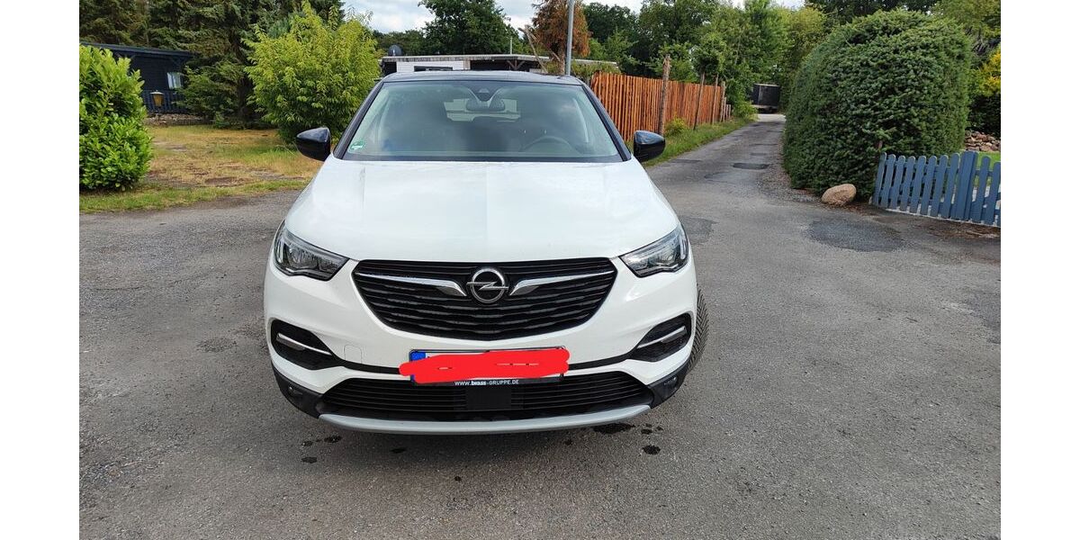 Opel Grandland (X) 119.488 km 17.500 &euro; Lohr 97816