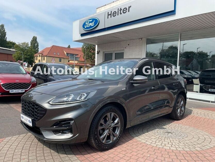 Kuga