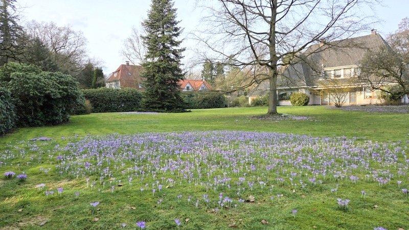 Einfamilienhaus Ganderkesee - 8 Zimmer, 257 m&sup2;, 2.347&euro; | Angebot:26098996