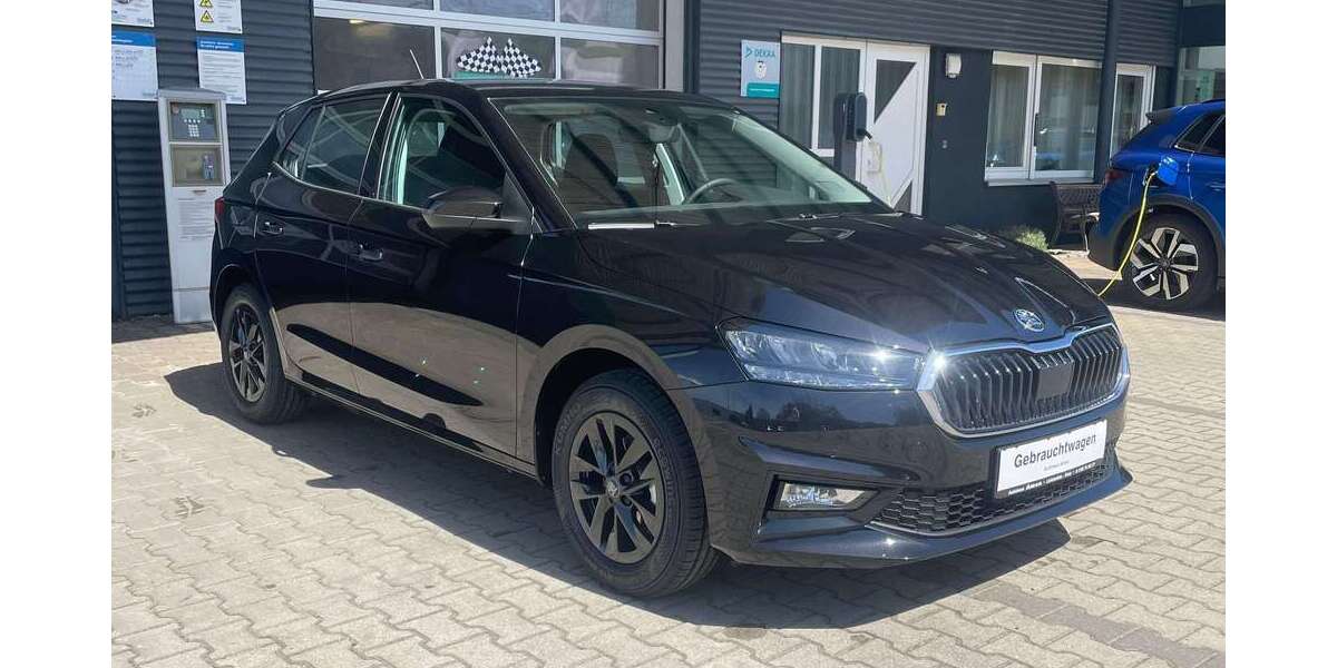 Skoda Fabia 1.100 km 21.490 &euro; Lichtenfels/Trieb 96215