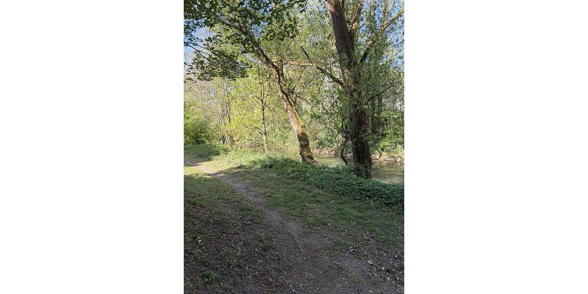 Terrassenwohnung Lauf Wetzendorf - 2 Zimmer, 85 m&sup2;, 285.000&euro; | Angebot:26358895