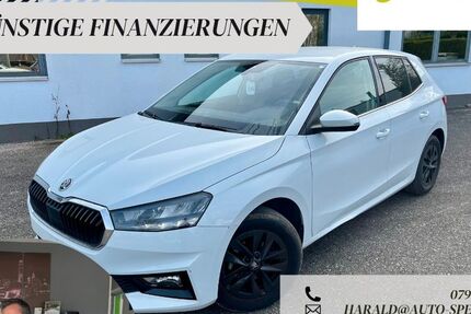 Skoda Fabia 18.156 km 15.490 &euro; Tannhausen 73497