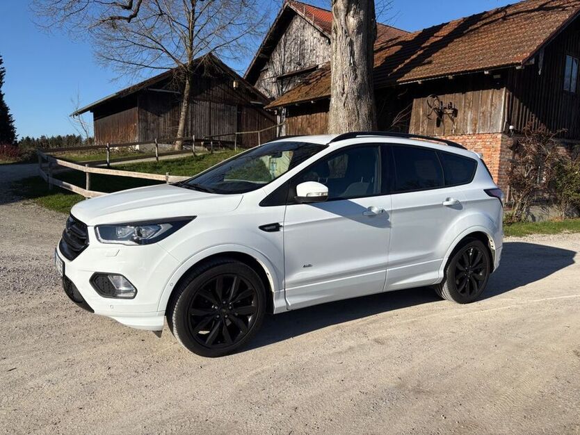 Kuga
