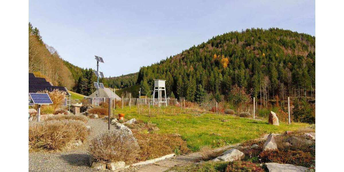 Gewerbeobjekt Aitern-Multen Multen - 2 Zimmer, 1.250.000&euro; | Angebot:25814946