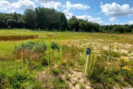 Grundstück zu verkaufen in Bergen OT Tilzow 117.700 € 659 m² zimmer