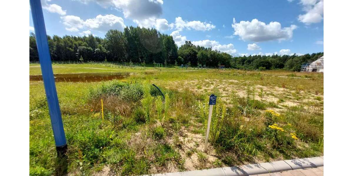 Grundstück zu verkaufen in Bergen OT Tilzow 117.700 € 659 m² zimmer