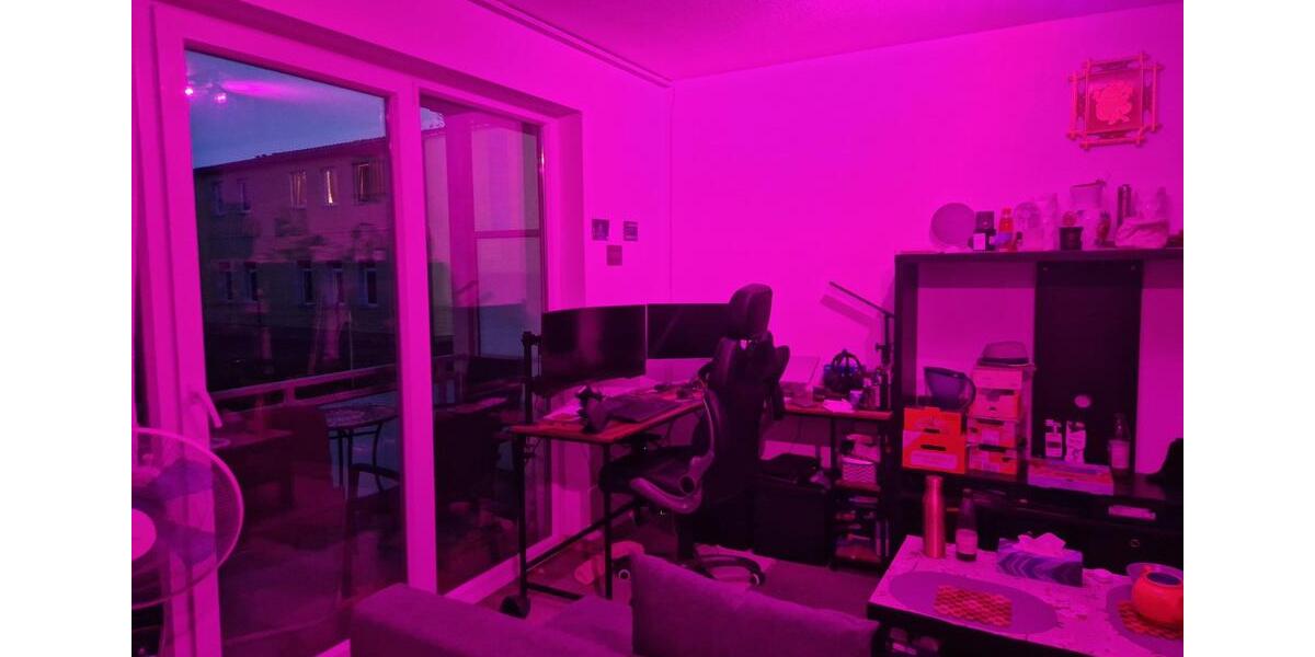 Erdgeschoßwohnung Ilmenau - 1 Zimmer, 30 m&sup2;, 290&euro; | Angebot:26594609