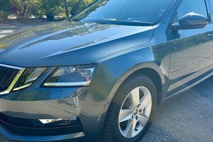 Skoda Octavia 180.000 km 14.999 € Halle-Neustadt 06124