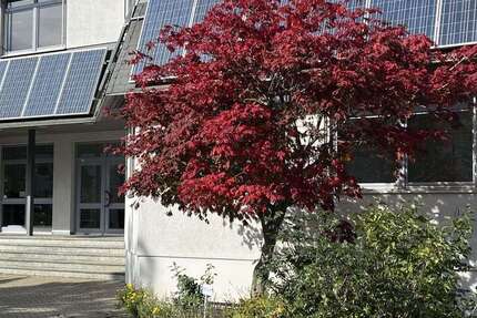 Büro in Ludwigsburg 3.550 € 355 m² zimmer