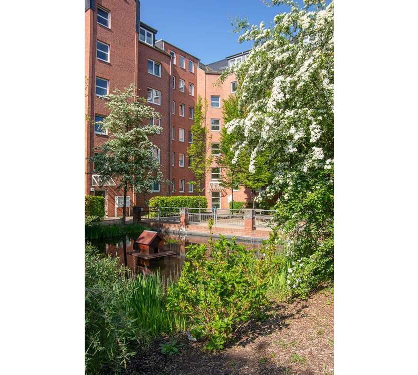 Wohnung zum Mieten in Chemnitz 298,75 € 44.59 m²