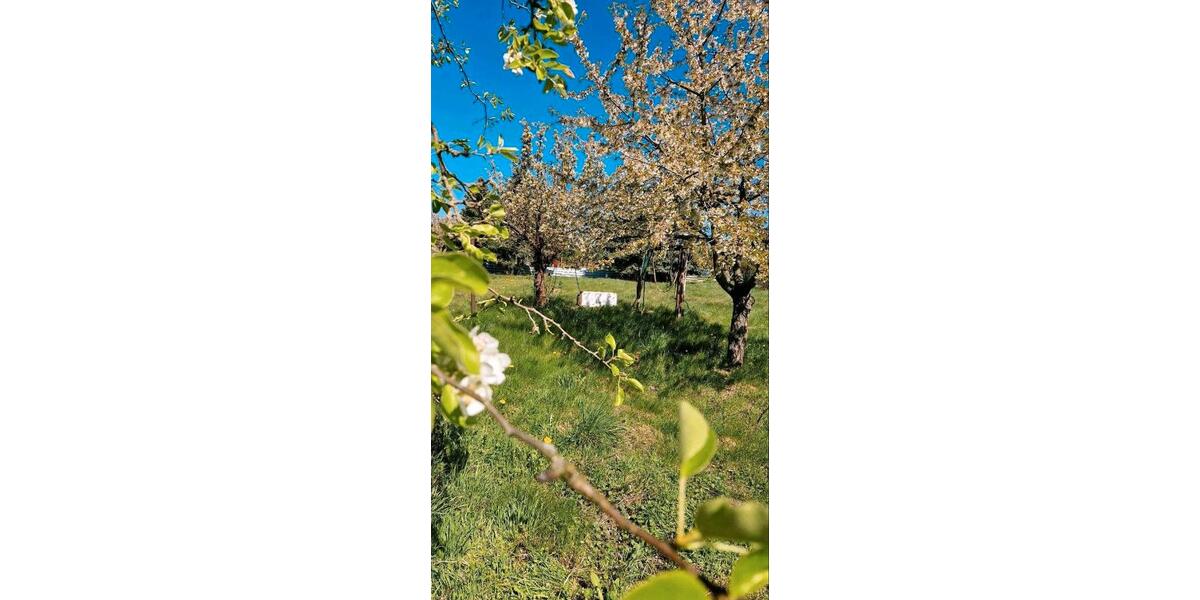 Einfamilienhaus Jessen (Elster) - 4 Zimmer, 100 m&sup2;, 69.000&euro; | Angebot:26089118