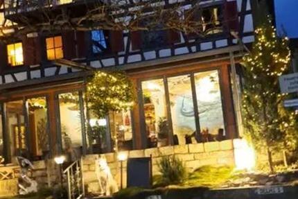 Historisches Haus im Zentrum von Münsingen 12.5 zimmer